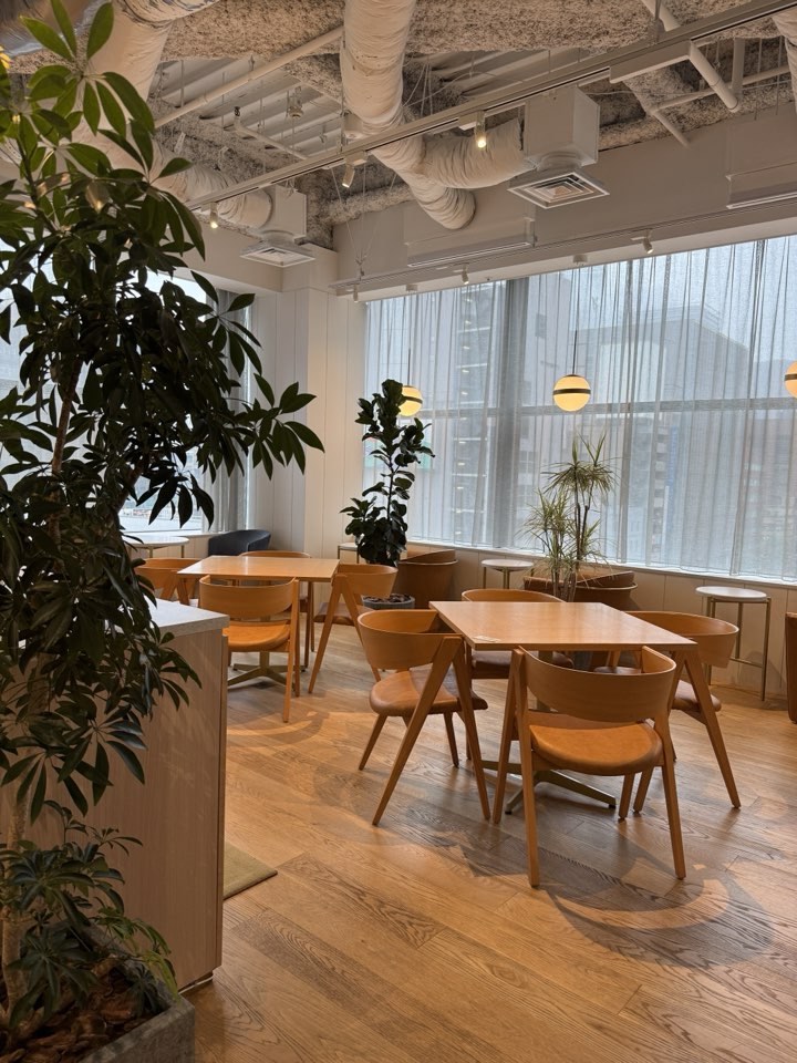 新橋プレイス カフェラウンジ。観葉植物に囲まれた木目のテーブル席と大きな窓